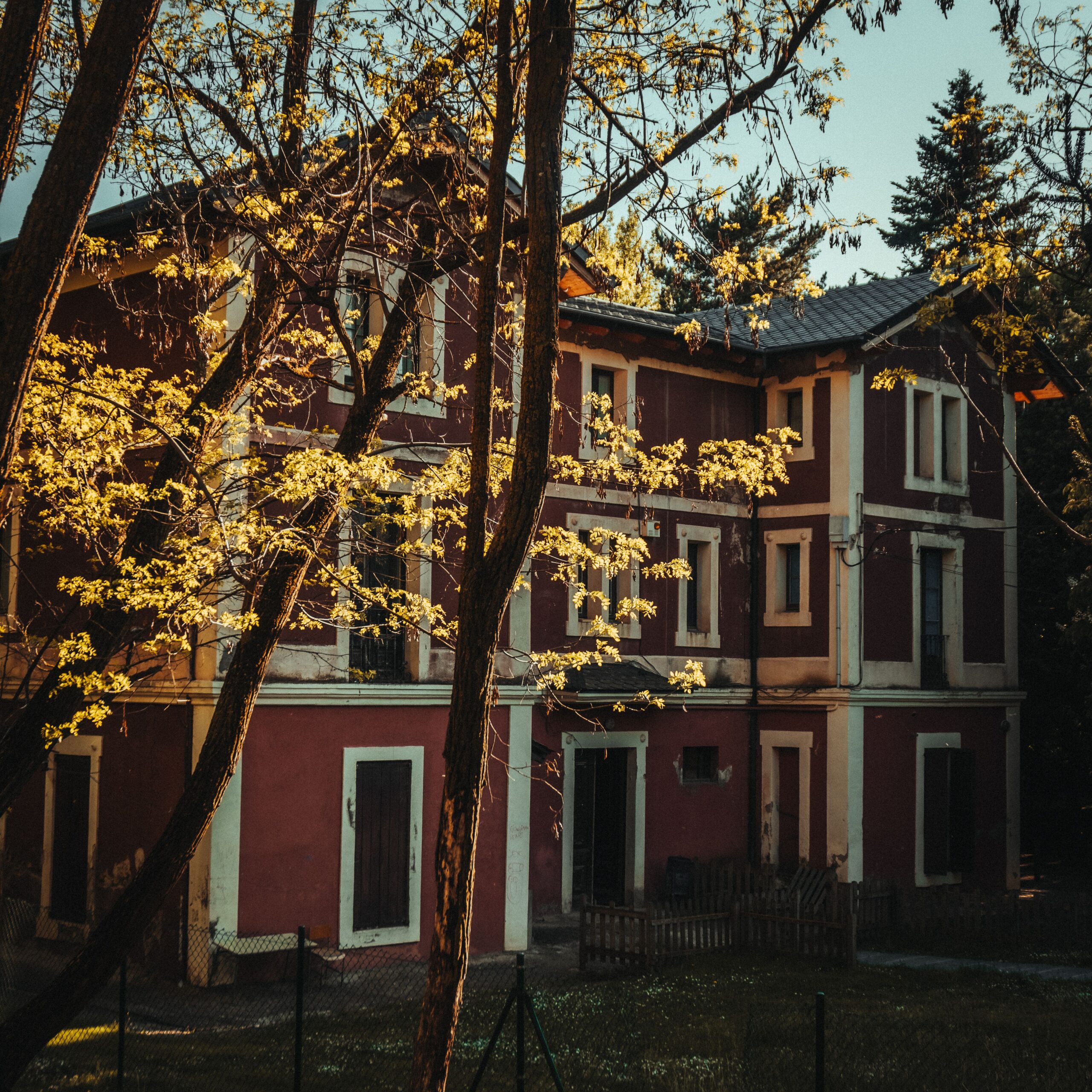 Charming rustic house surrounded by trees with soft spring sunlight casting warm shadows.